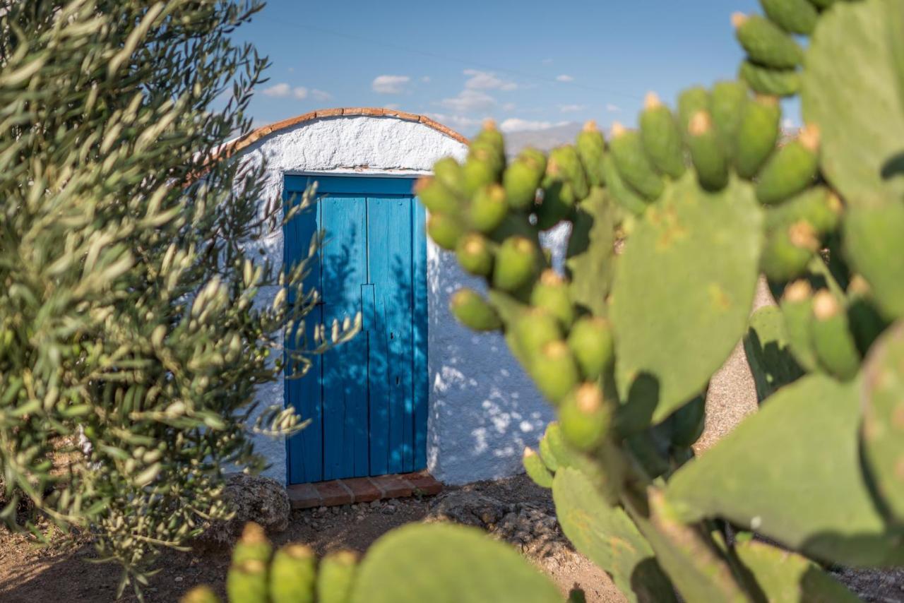 Al Agia - Mirador De Los Quinientos Padul Extérieur photo